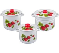 Эмалированный набор посуды Сибирские товары 17 летняя ягода, 3 предмета, белый, цилиндр, 3.5 л, 5.5 л, 8 л ХП2096