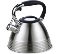 Чайник Alpenkok AK-532 из нержавеющей стали 3,0 л, со свистком, капсульное дно 12 Р1-00008283