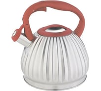 Чайник Alpenkok AK-527 из нержавеющей стали 3,0 л, со свистком 12 0R-00006968