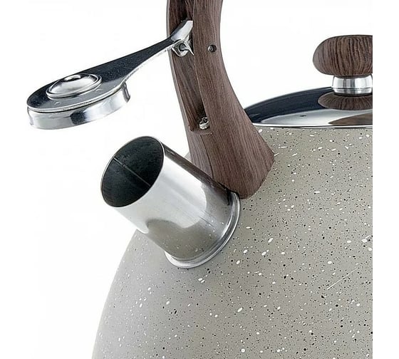 Чайник Alpenkok AK-533 нержавеющая сталь 3,0 л, со свистком 12 Р1-00008285