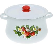 Эмалированная кастрюля Сибирские товары груша, 4.0 л, декор, с пластиковой кнопкой ХП2057