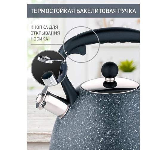 Чайник Alpenkok AK-534 нержавеющая сталь 3,0 л, со свистком 12 Р1-00008287