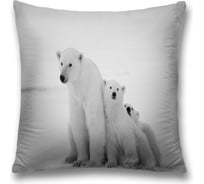 Декоративная наволочка JoyArty sl_11881