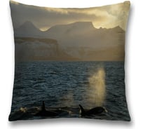 Декоративная наволочка JoyArty sl_11892