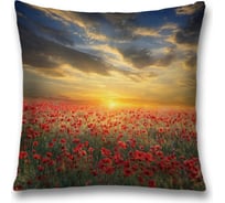 Декоративная наволочка JoyArty sl_11911