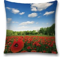 Декоративная наволочка JoyArty sl_11902