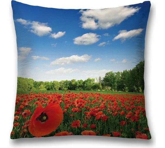 Декоративная наволочка JoyArty sl_11902