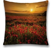 Декоративная наволочка JoyArty sl_11913