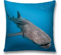 Декоративная наволочка JoyArty sl_11879