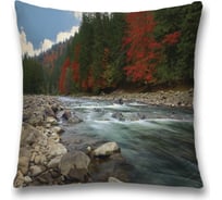 Декоративная наволочка JoyArty sl_12159