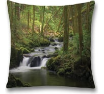 Декоративная наволочка JoyArty sl_12164