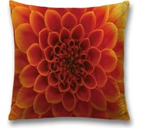 Декоративная наволочка JoyArty sl_12426