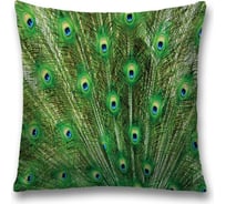 Декоративная наволочка JoyArty sl_12569