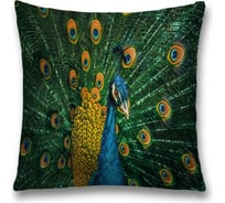 Декоративная наволочка JoyArty sl_12583