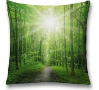 Декоративная наволочка JoyArty sl_125591