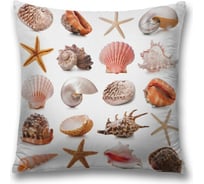 Декоративная наволочка JoyArty sl_11813