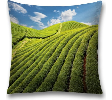 Декоративная наволочка JoyArty sl_9978