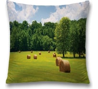 Декоративная наволочка JoyArty sl_9976