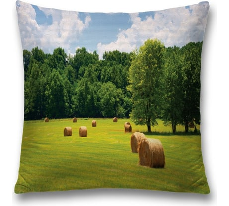 Декоративная наволочка JoyArty sl_9976