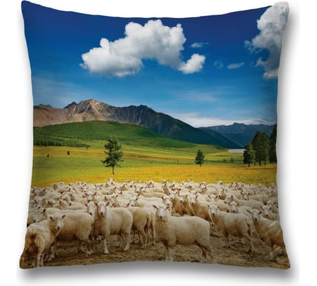 Декоративная наволочка JoyArty sl_9973