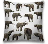 Декоративная наволочка JoyArty sl_12638