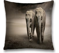 Декоративная наволочка JoyArty sl_12637