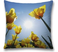 Декоративная наволочка JoyArty sl_34765