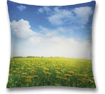 Декоративная наволочка JoyArty sl_34763