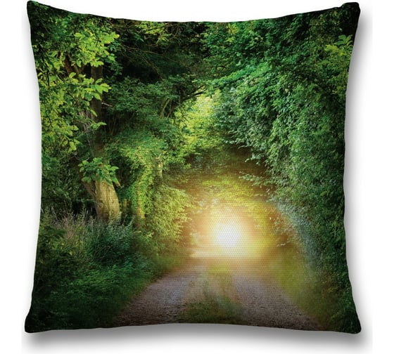 Декоративная наволочка JoyArty sl_18198