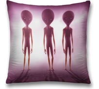 Декоративная наволочка JoyArty sl_6799