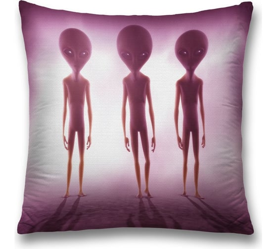 Декоративная наволочка JoyArty sl_6799