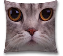 Декоративная наволочка JoyArty sl_7713