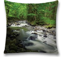 Декоративная наволочка JoyArty sl_16193