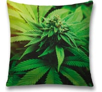 Декоративная наволочка JoyArty sl_78585