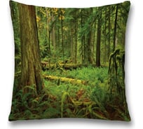 Декоративная наволочка JoyArty sl_19647