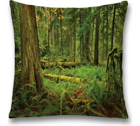 Декоративная наволочка JoyArty sl_19647 1