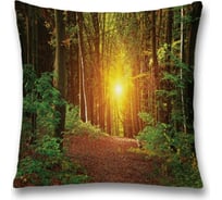 Декоративная наволочка JoyArty sl_19657