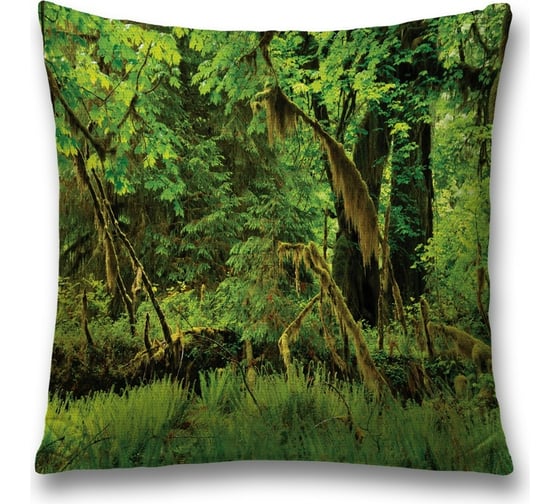 Декоративная наволочка JoyArty sl_16285 1