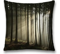 Декоративная наволочка JoyArty sl_19669