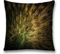 Декоративная наволочка JoyArty sl_16423