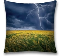 Декоративная наволочка JoyArty sl_16323