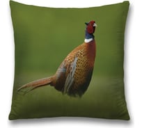 Декоративная наволочка JoyArty sl_32468