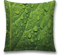 Декоративная наволочка JoyArty sl_32284