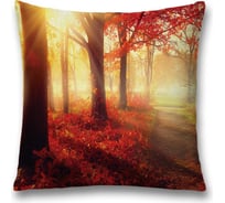 Декоративная наволочка JoyArty sl_16438