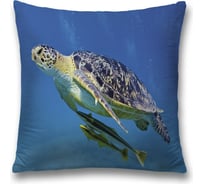 Декоративная наволочка JoyArty sl_35238