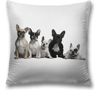 Декоративная наволочка JoyArty sl_60778