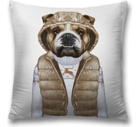 Декоративная наволочка JoyArty sl_60784