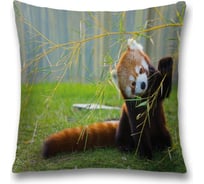 Декоративная наволочка JoyArty sl_21731