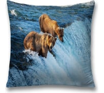 Декоративная наволочка JoyArty sl_21740