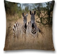 Декоративная наволочка JoyArty sl_21742